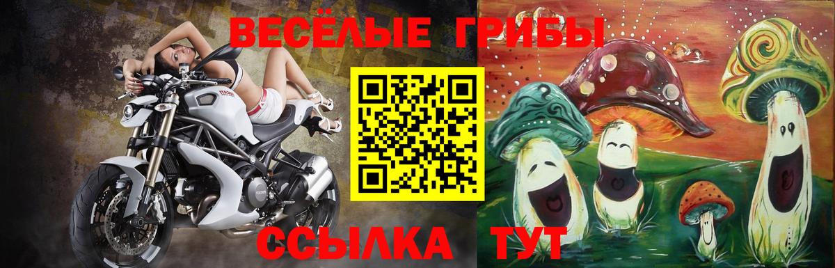 Галлюциногенные грибы ЛСД Долгопрудный