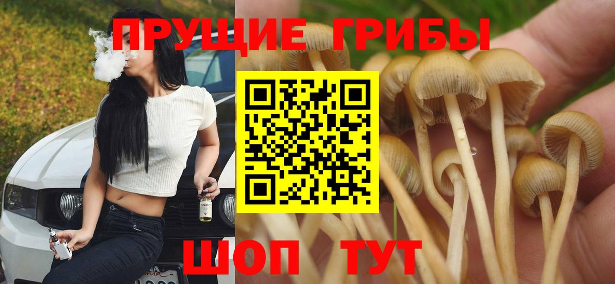 Псилоцибиновые грибы GOLDEN TEACHER  Галлюциногенные грибы Psilocybe  Вход с VPN  Долгопрудный 